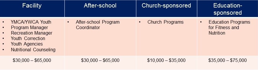 Youth Service Agencies (Not-for-Profit Sector)