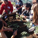 Student Nutrition Organization built a teaching garden