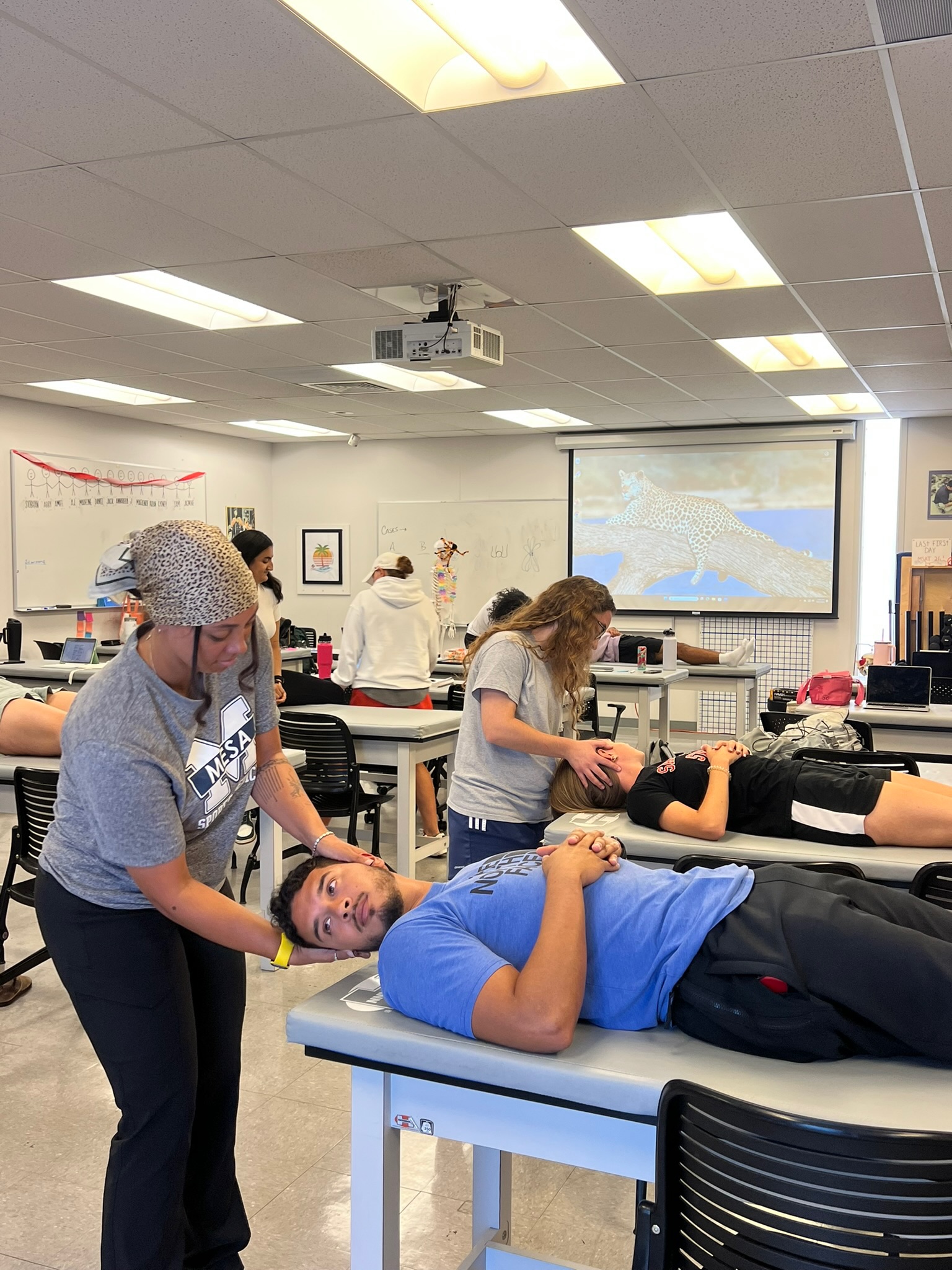 Neck Muscle massage therapy