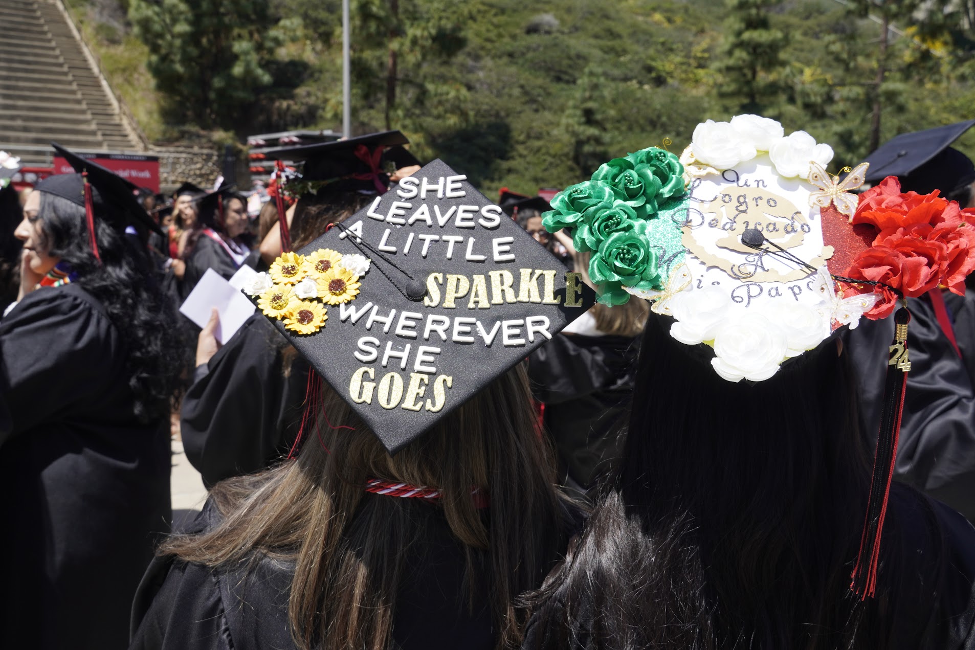 Graduates Caps