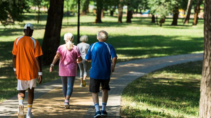 back view of retired multicultural pensioners in sportswear walking in walkway in park