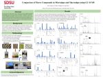 Ellie Crampton research poster